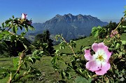 SENTIERO DEI FIORI ‘Claudio Brissoni’ ad anello da Capanna 2000 il 9 luglio 2020 - FOTOGALLERY